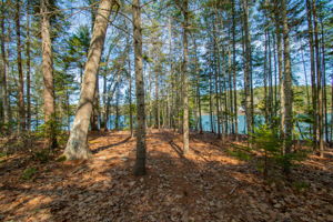 0BenIslandHarpswell-171