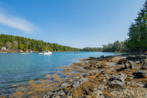 0BenIslandHarpswell-175