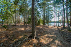 0BenIslandHarpswell-177