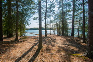 0BenIslandHarpswell-178