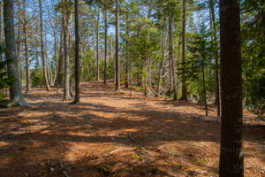 0BenIslandHarpswell-179
