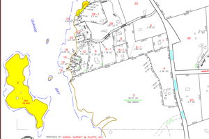 Tax map