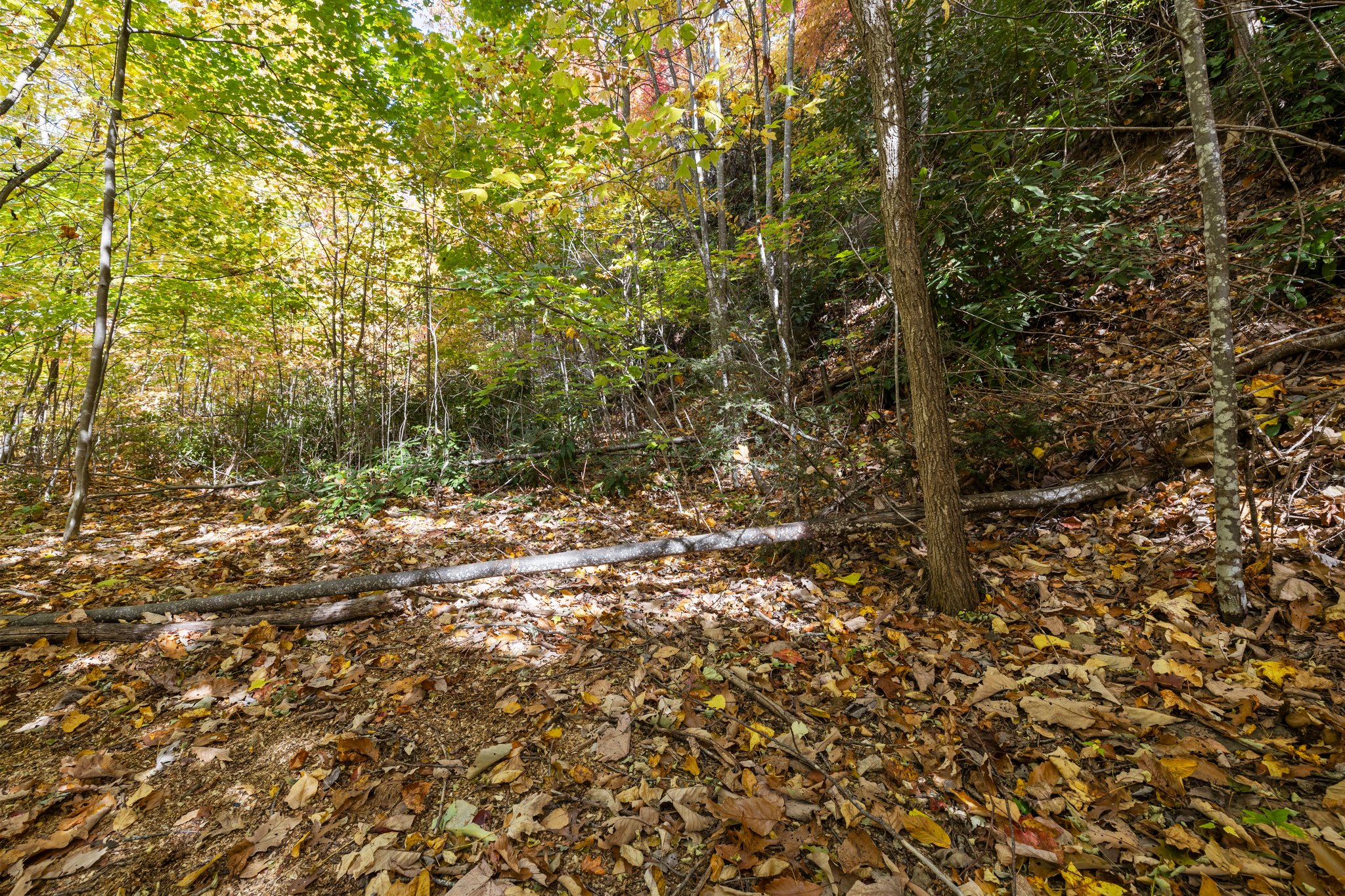 71 Riverside Park Dr, Marion, NC 28752, USA Photo 7