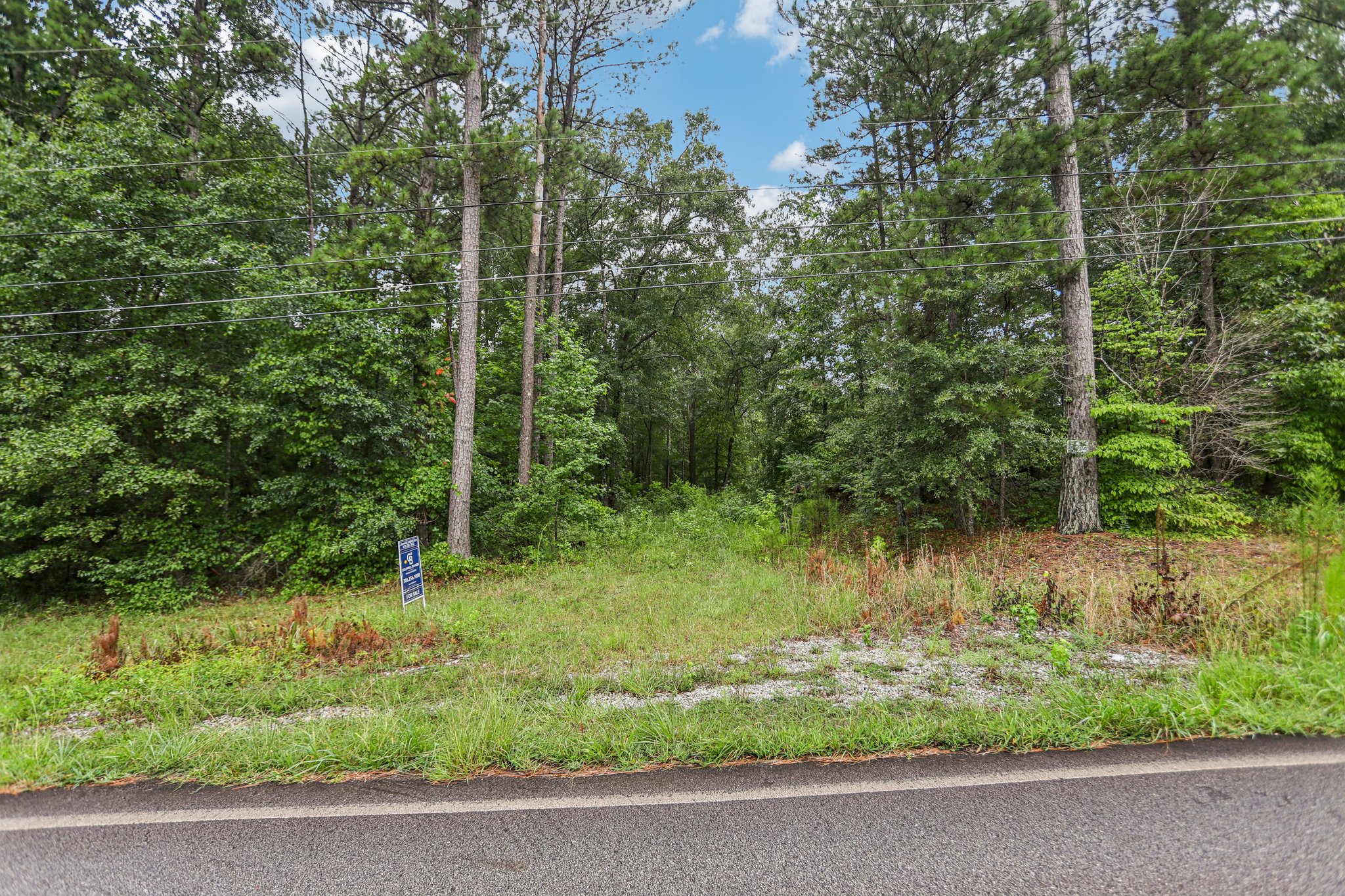 Bohannon Rd-S2407-002.jpg