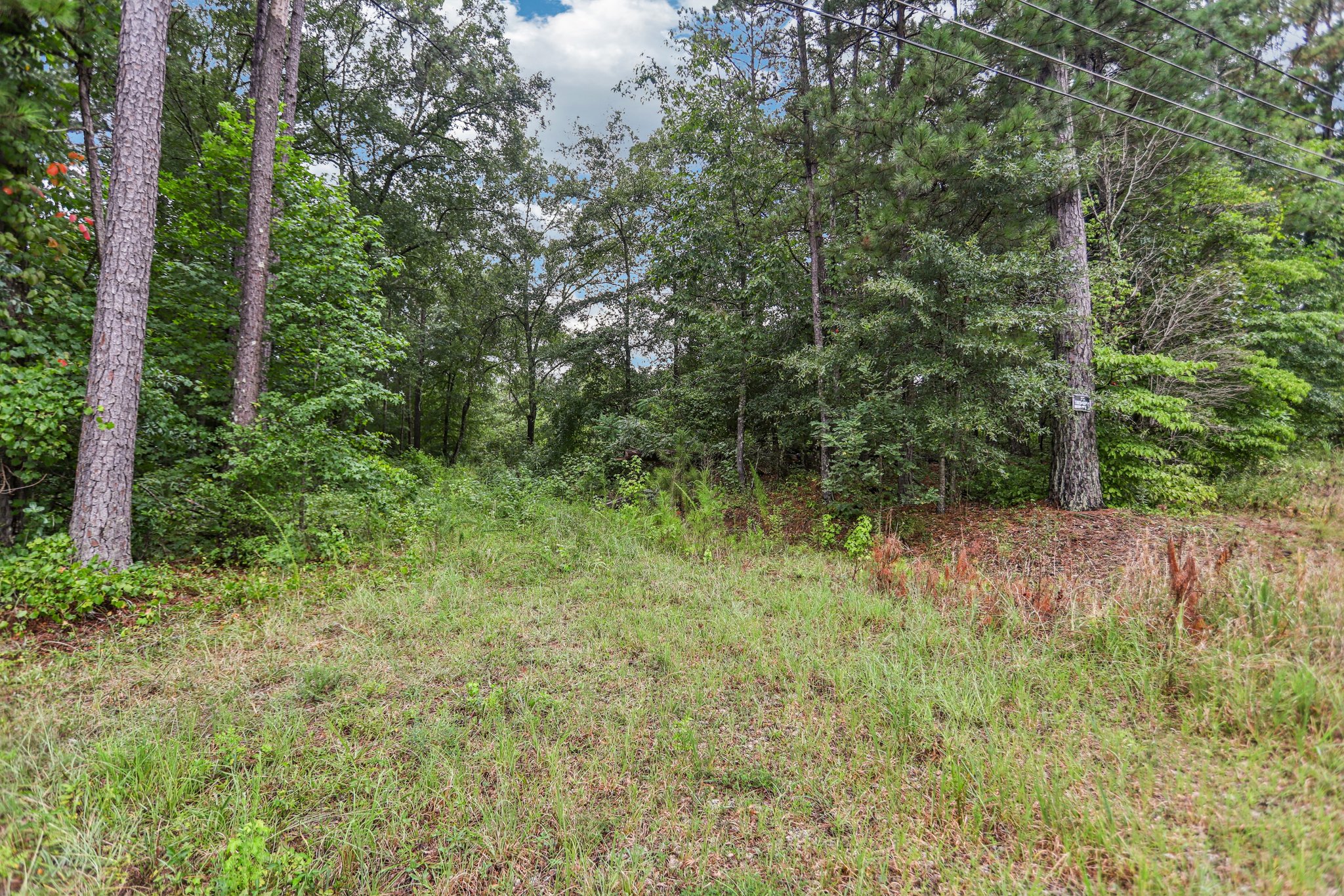 Bohannon Rd-S2407-005.jpg