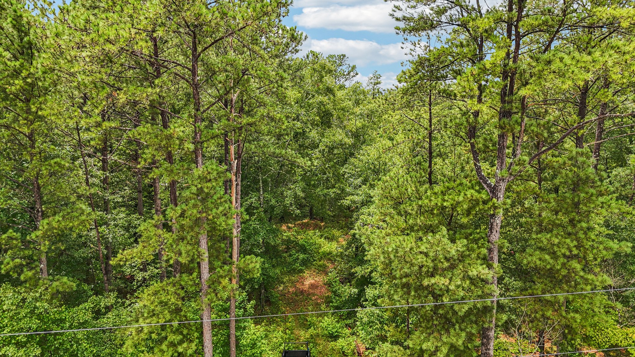 Bohannon Rd-S2407-010.jpg