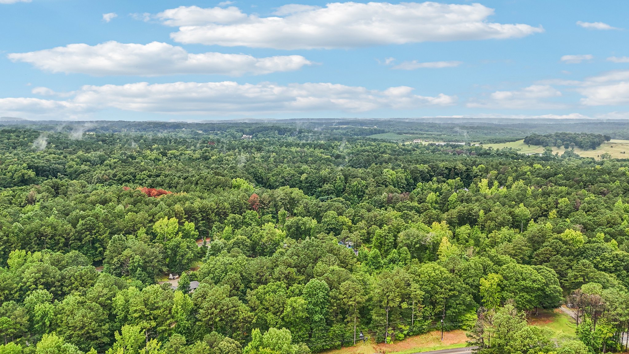 Bohannon Rd-S2407-014.jpg