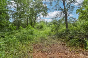 Bohannon Rd-S2407-004.jpg