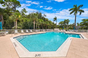 Communty Pool