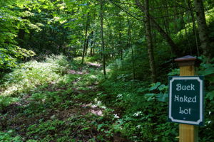  Photo 0