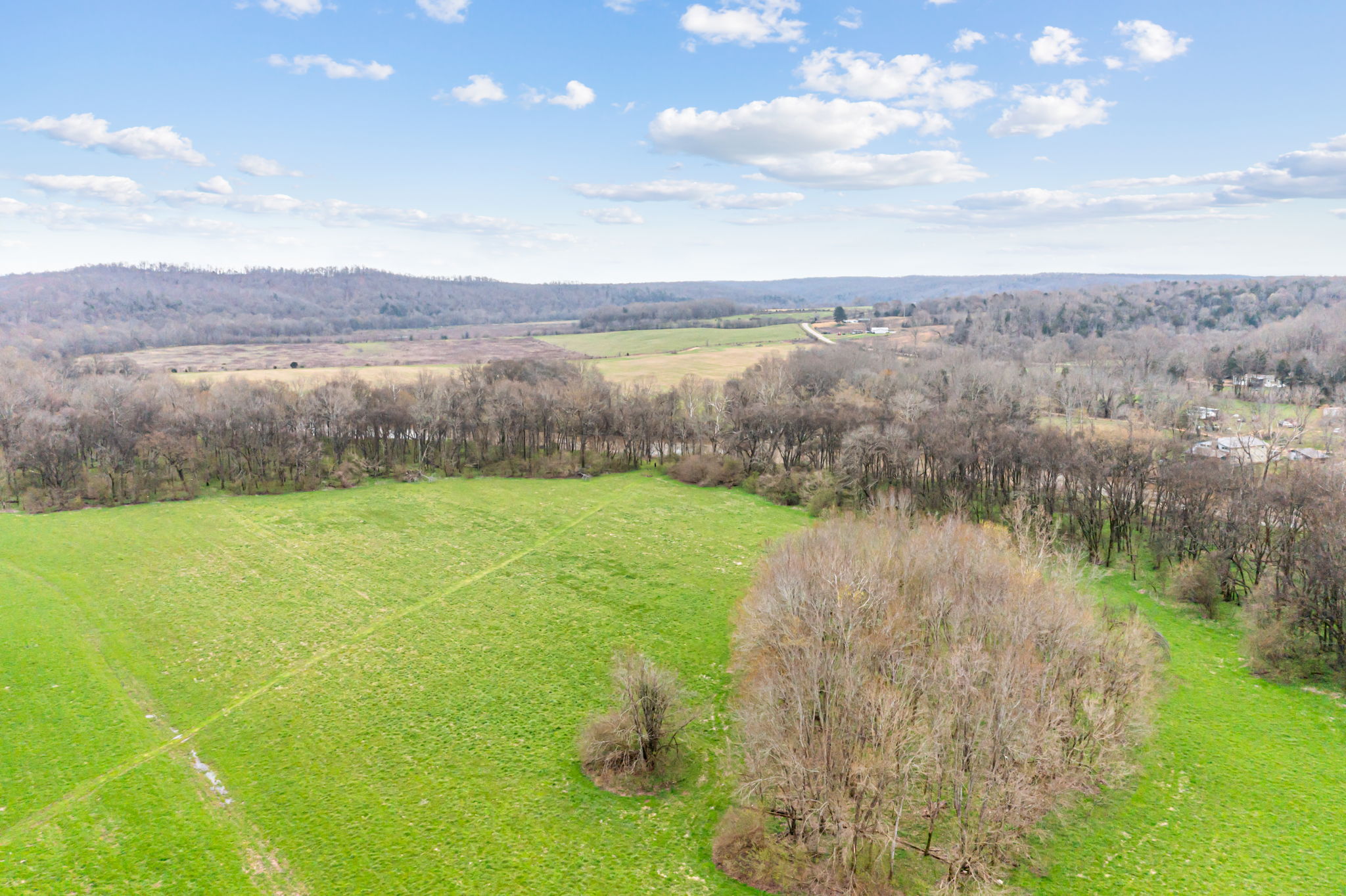 0 Buffalo Bottom Road, Linden TN 37096 | Pixel Crew