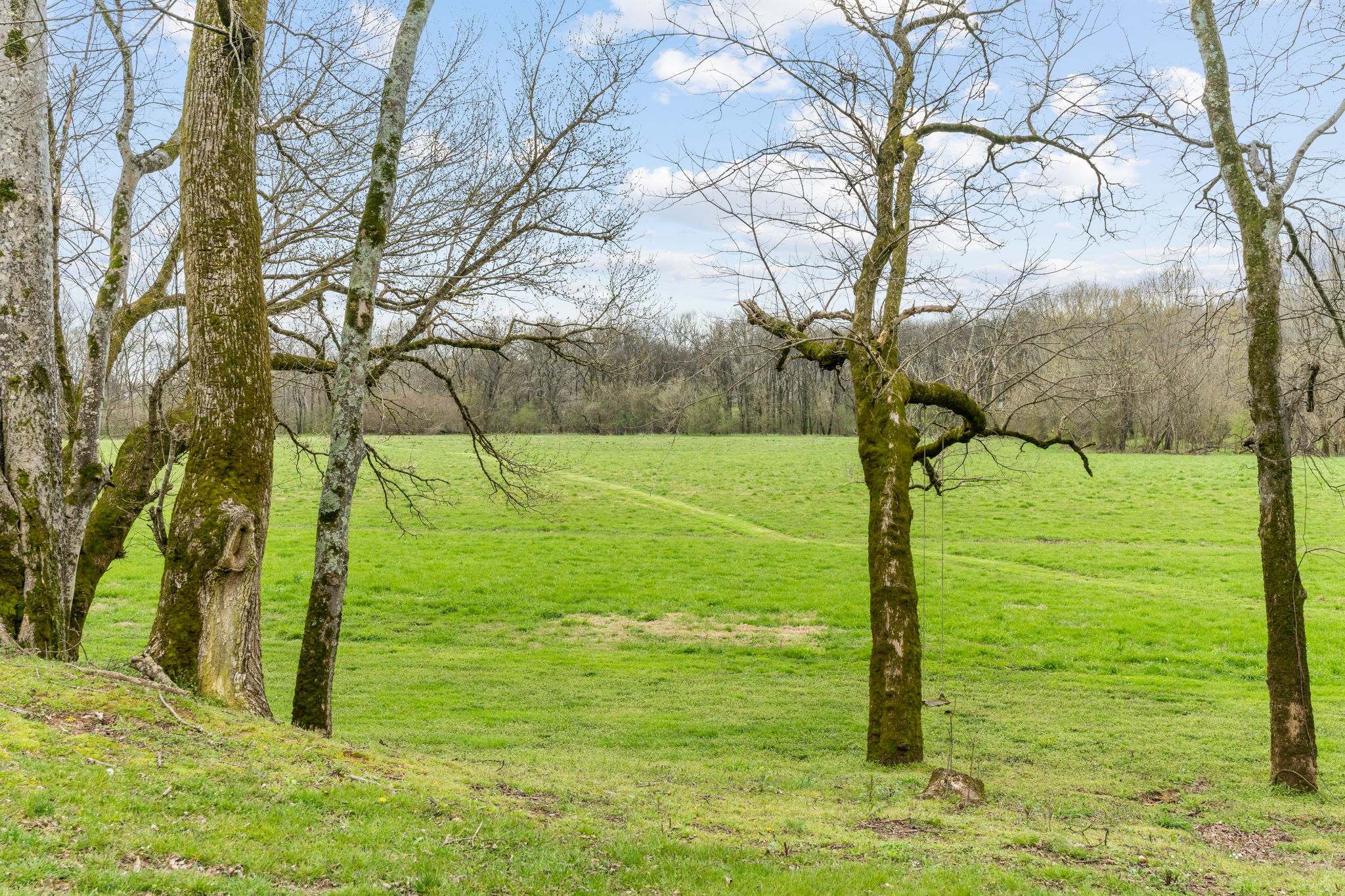 0 Buffalo Bottom Road, Linden TN 37096 | Pixel Crew
