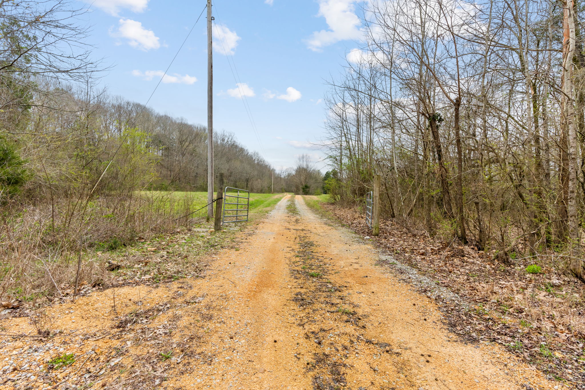 0 Buffalo Bottom Road, Linden TN 37096 | Pixel Crew