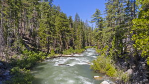  Photo 39