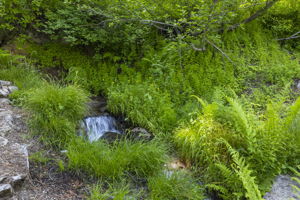  Photo 31