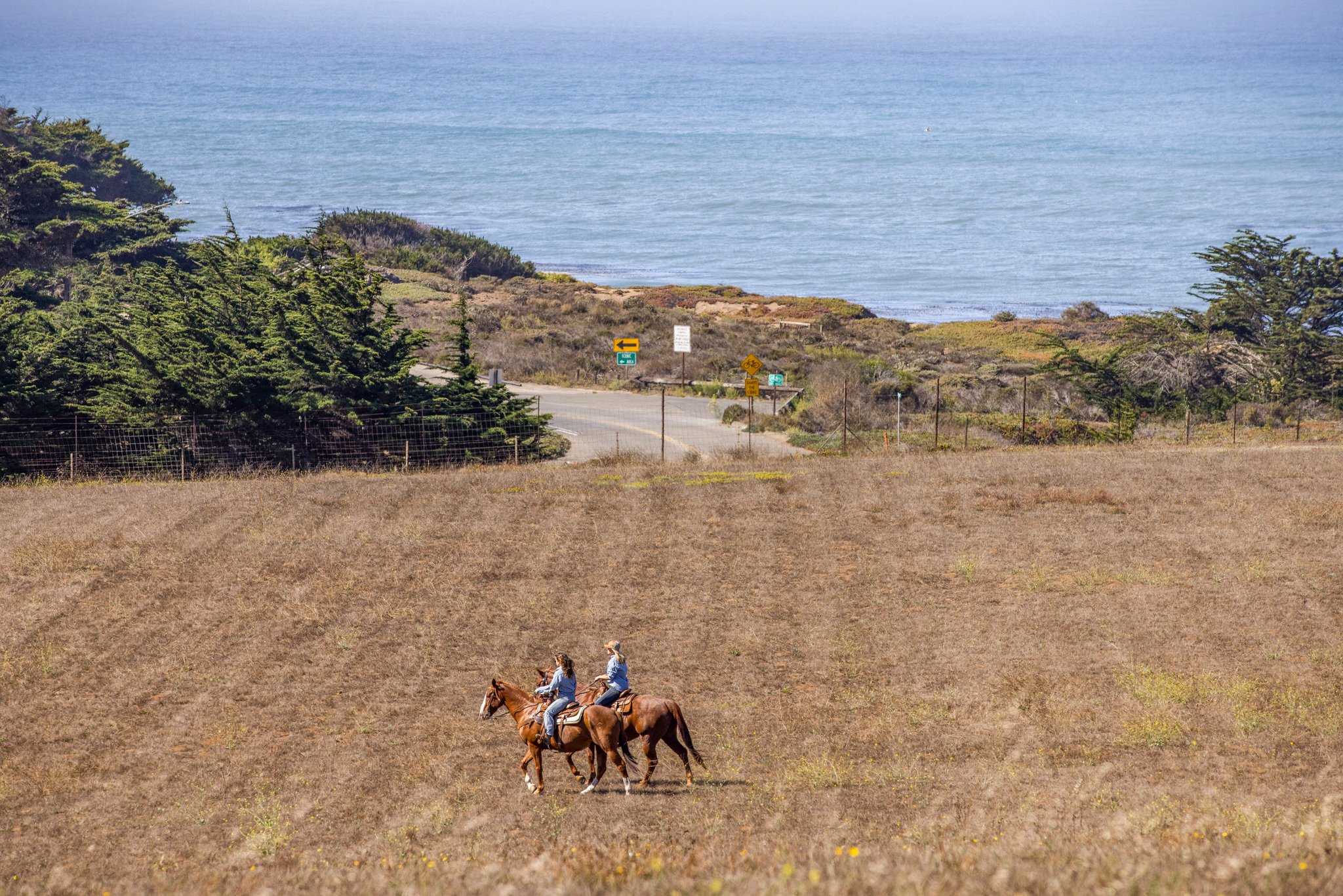 Pasture Land