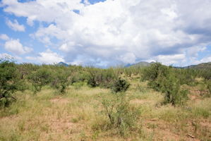  Photo 0
