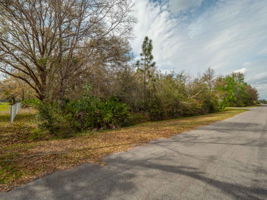  Cavalier Ave Parcel 10-23-32-1184-14-080, Wedgefield, FL 32833, US Photo 16