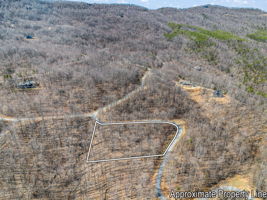  Photo 0