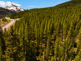  Photo 40