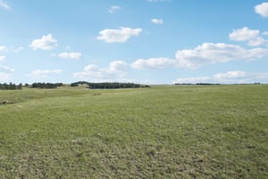 Co Rd 102-0405-004.jpg