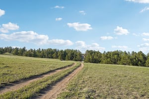 Co Rd 102-0405-007.jpg
