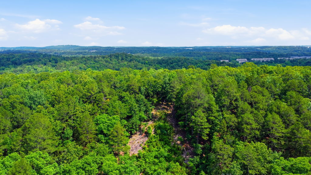 Land real estate media in Little Rock, Arkansas by Avery & Bryant