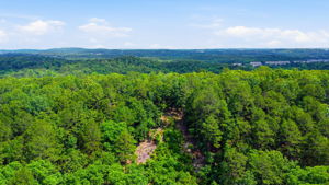 Aerial drone photography of Little Rock, Arkansas by Avery & Bryant