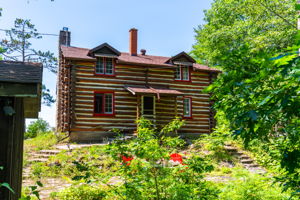  Photo 41