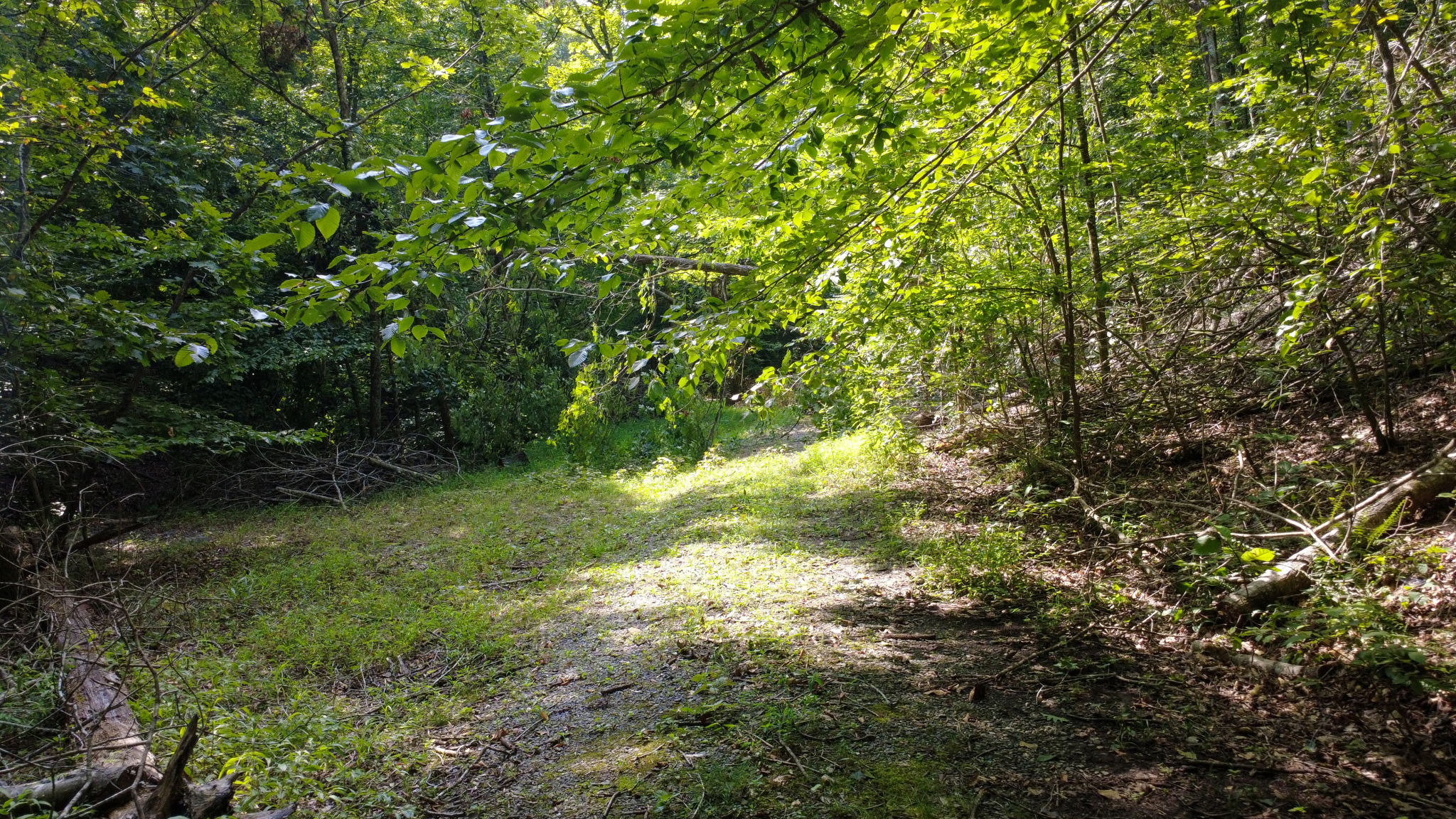  Photo 8