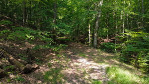  Photo 0