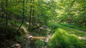  Photo 33