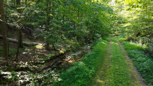  Photo 39