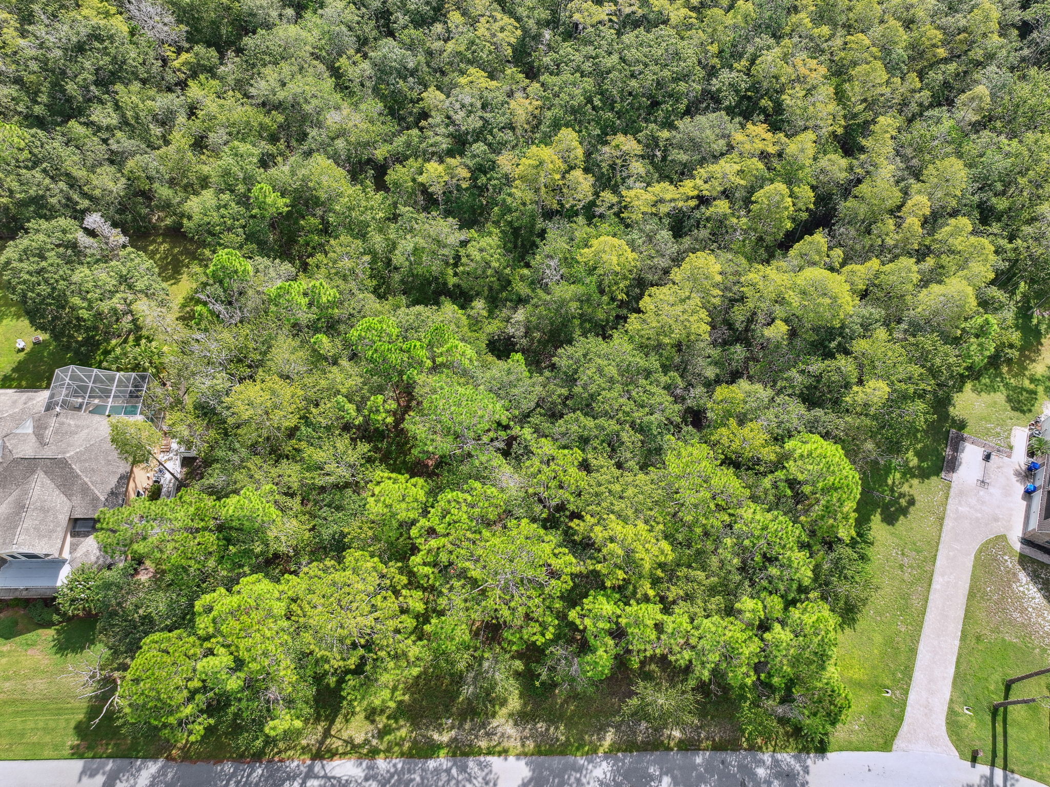 DJI_0304