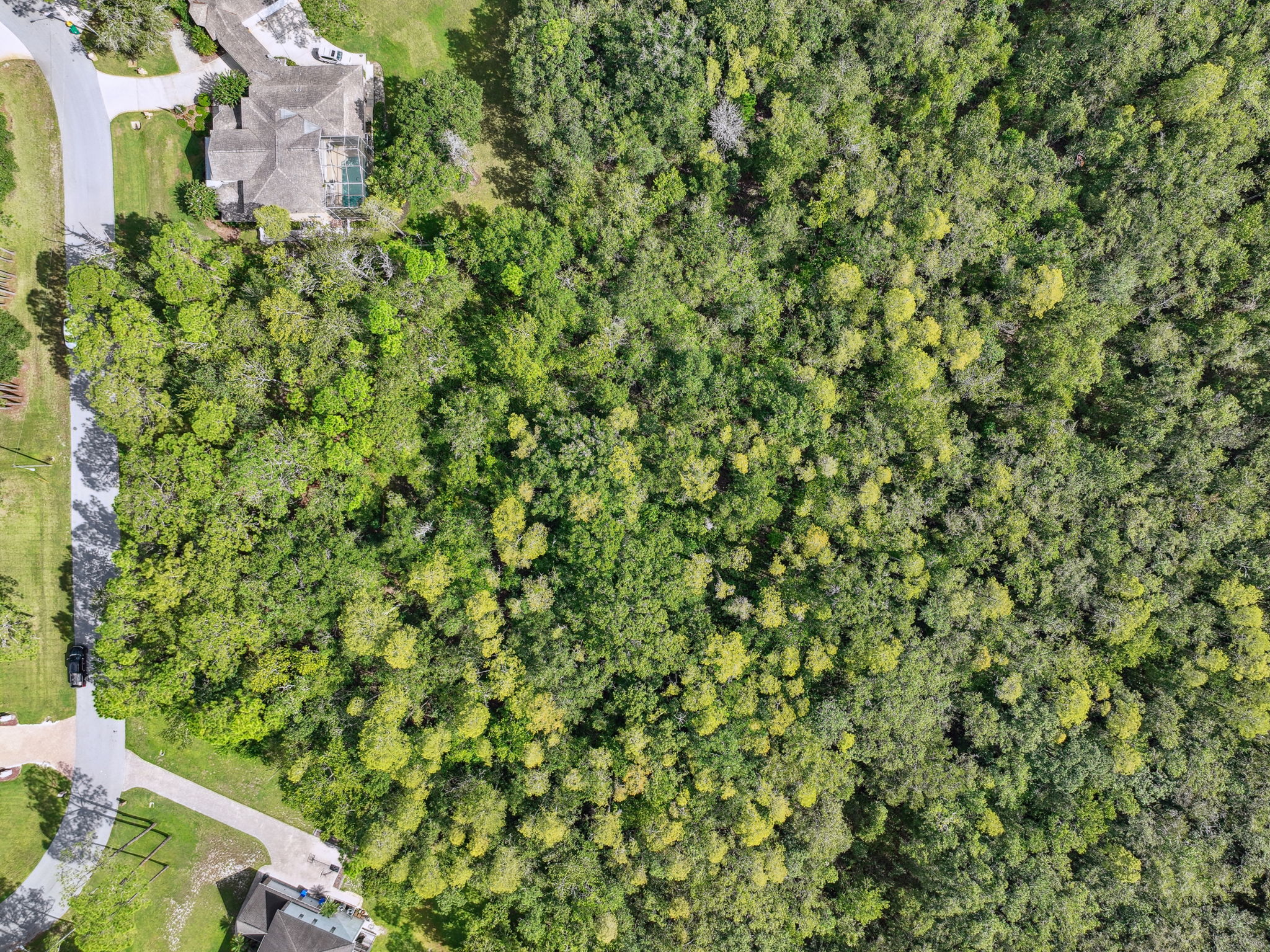 DJI_0307