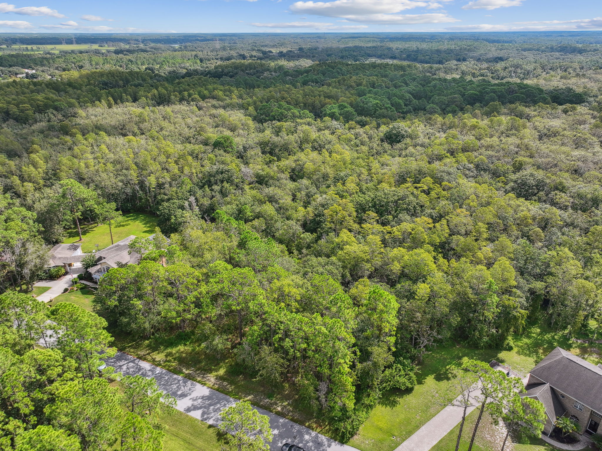 DJI_0301
