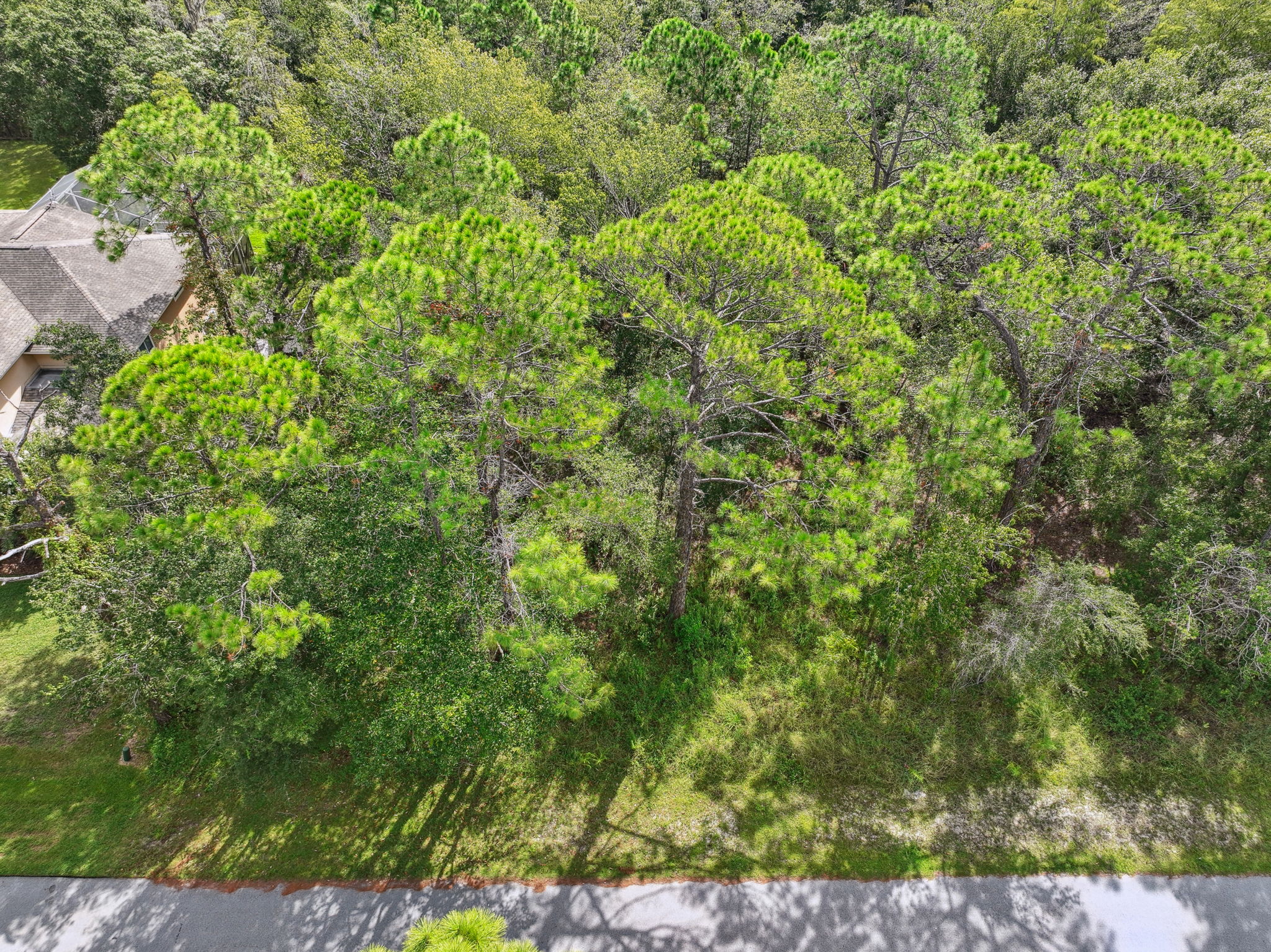 DJI_0283