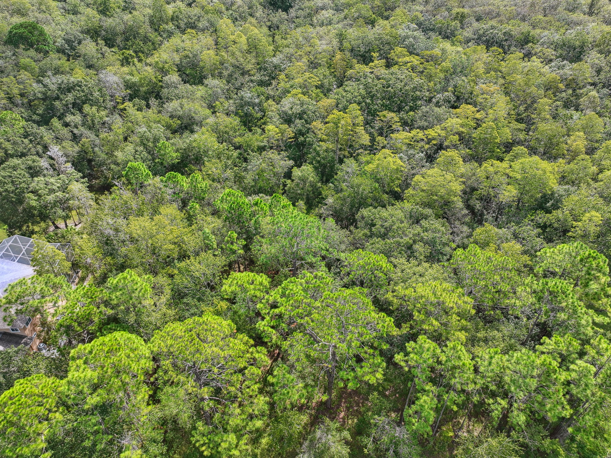 DJI_0352
