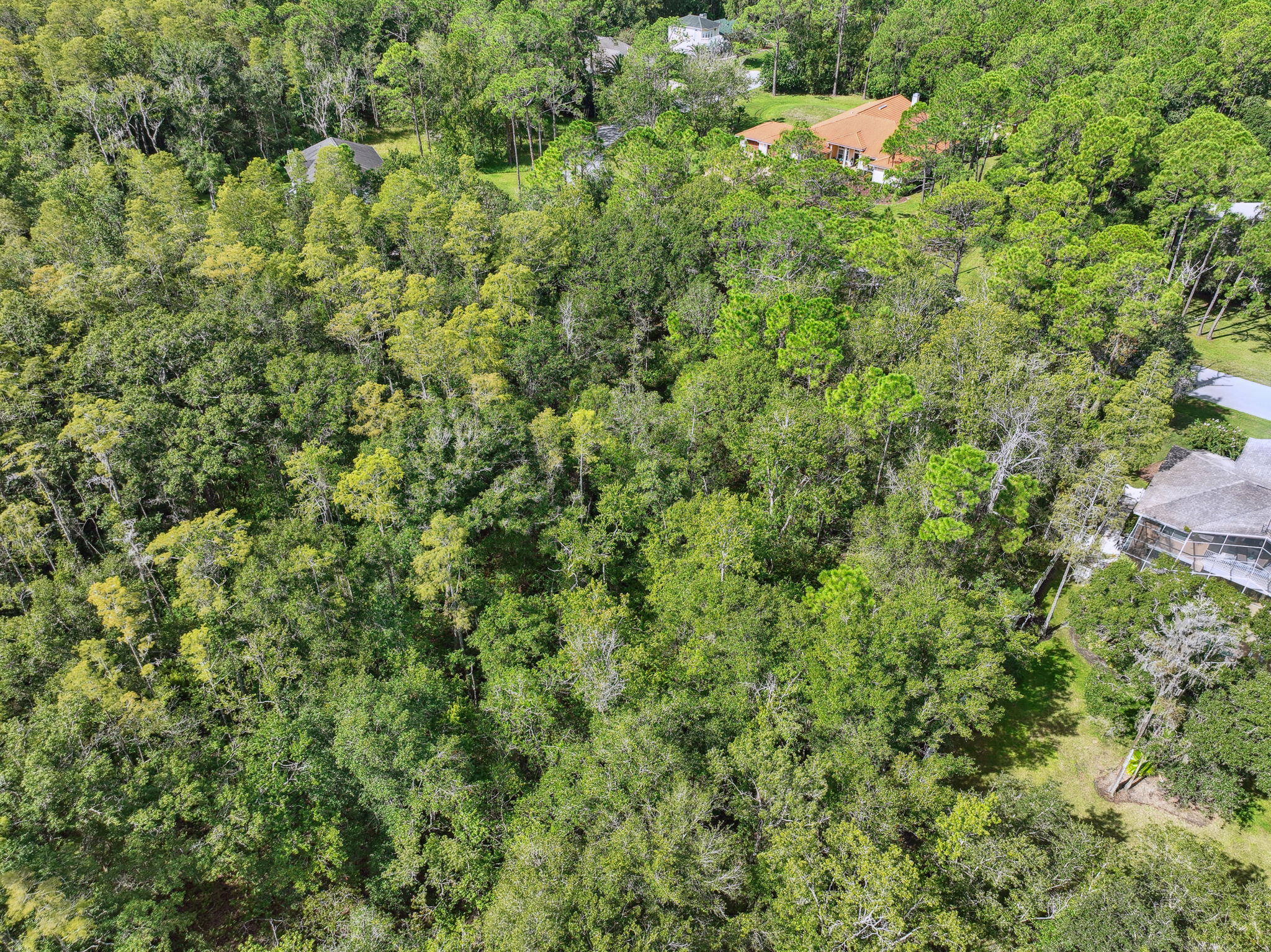 DJI_0343