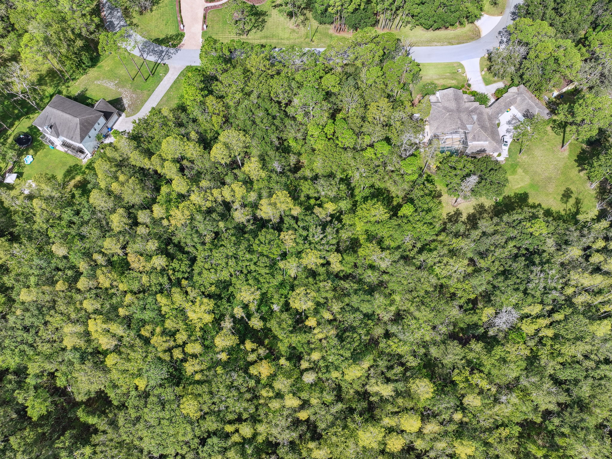 DJI_0316