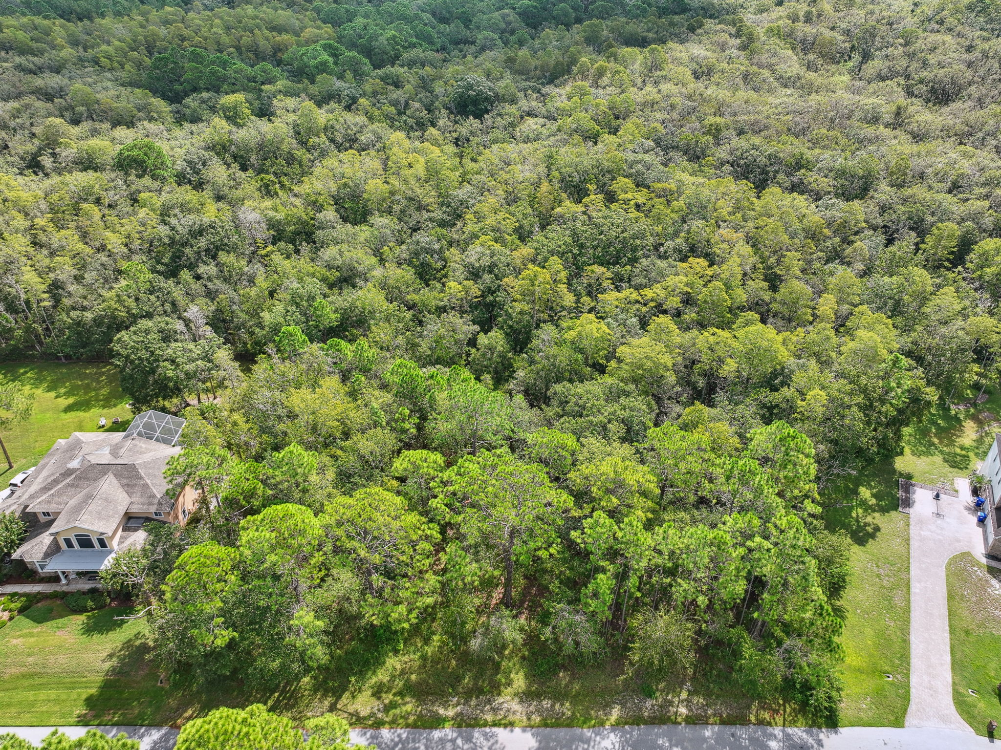 DJI_0292