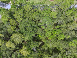 DJI_0349