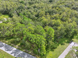 DJI_0334