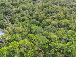 DJI_0352
