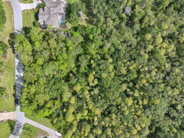 DJI_0310