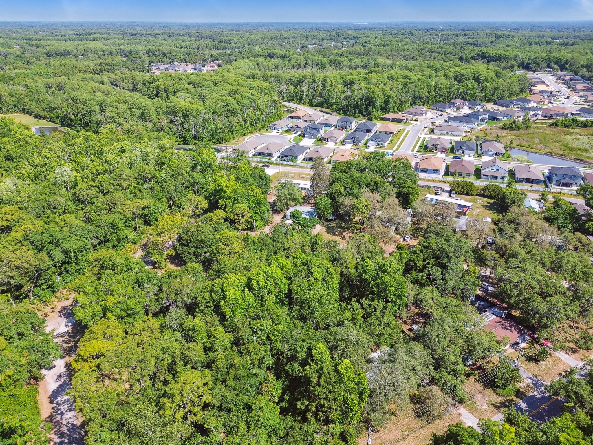 DJI_0972