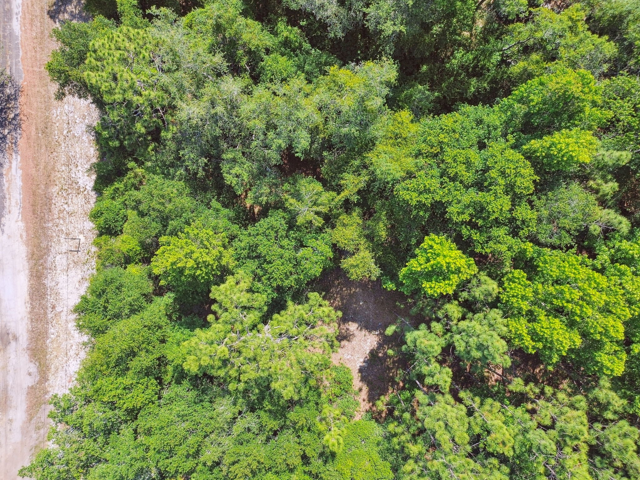 DJI_0990
