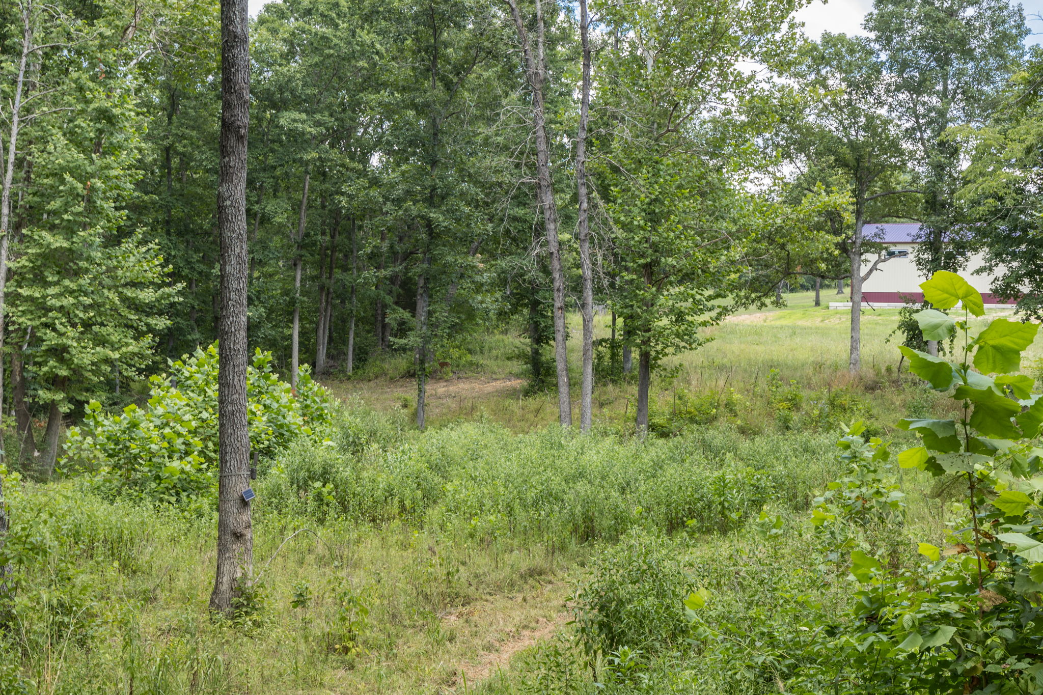  Photo 23