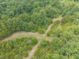  Photo 41
