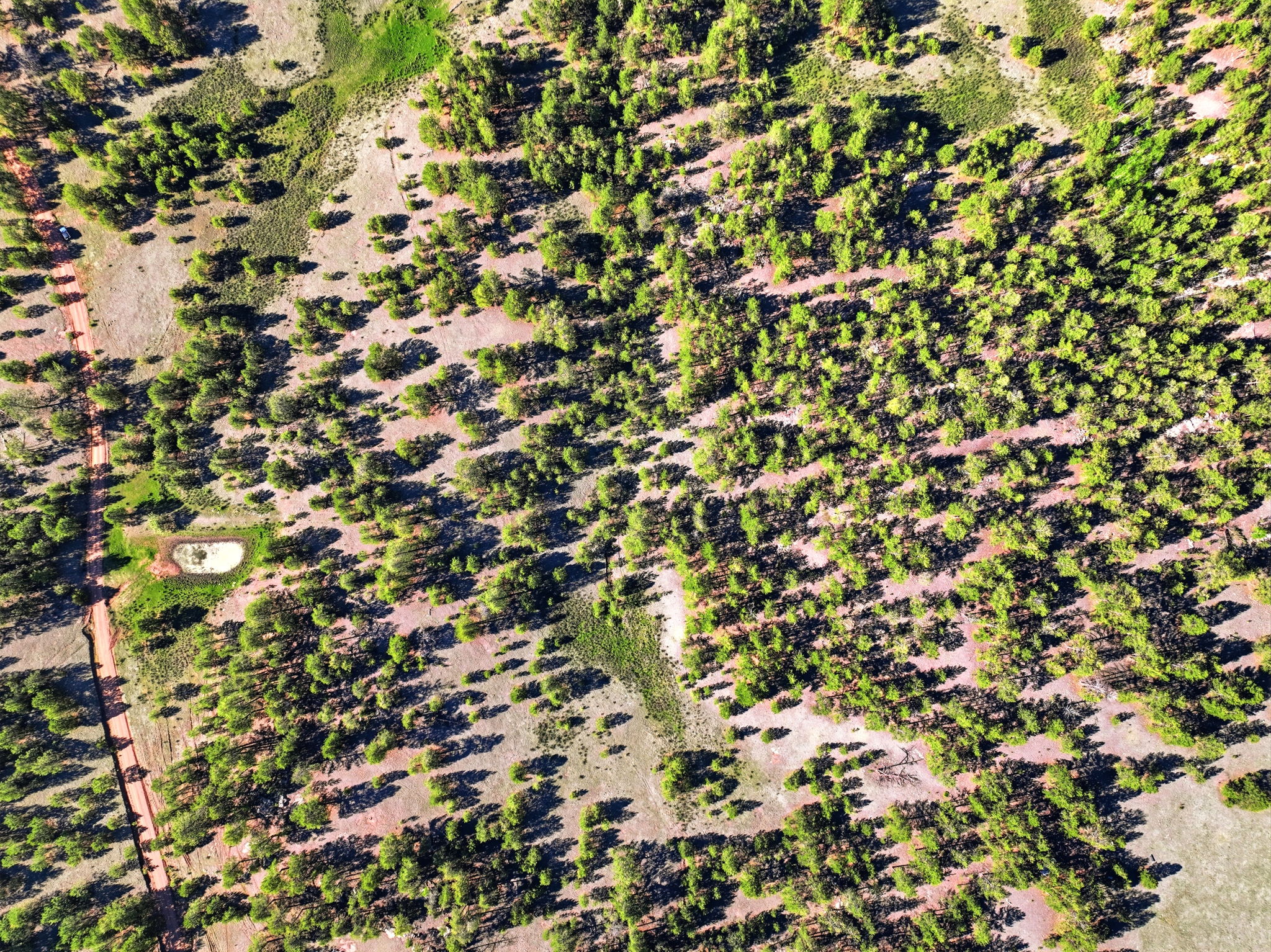 DJI_0669